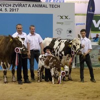 NVHZ_Brno_2017.jpg